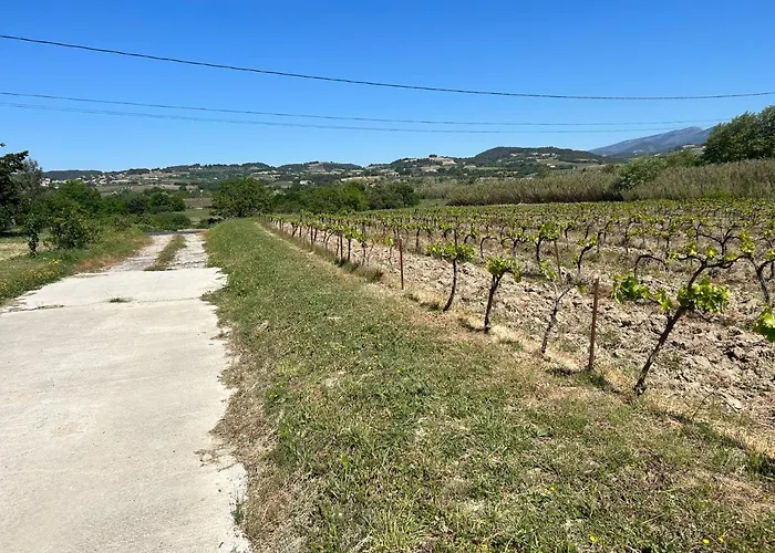 La Fournache